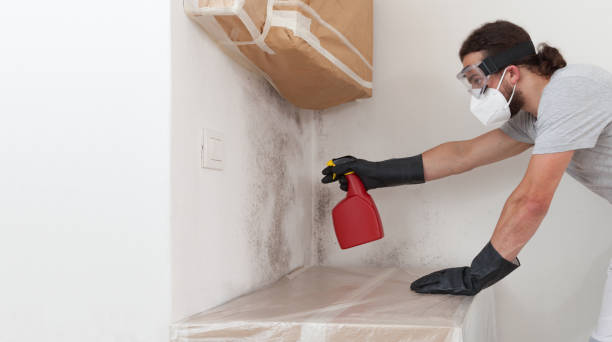 Professional Attic Mold Remediation technician working in Port Jefferson Station, NY