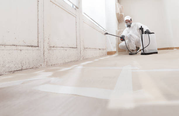 24/7 Emergency Attic Mold Remediation experts in Port Jefferson Station, NY